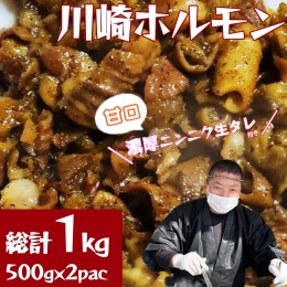 【ふるさと納税】［濃厚ニンニク生タレ『甘口付き』］川崎ホルモン総計1kg（500g×2p）　【04324-0262】