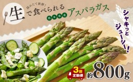 【ふるさと納税】【 定期便 3回 】 生で食べれる ？ アスパラガス （ グリーン ）約 800g ｜ 野菜 アスパラ ソムリエ 新鮮 健康 熊本県産