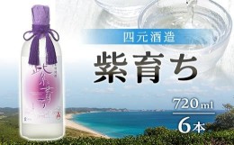 【ふるさと納税】【四元酒造】紫育ち 化粧箱入り 720ml×6本セット（アルコール分25％）【焼酎 芋焼酎 芋 いも お酒 アルコール 本格 種