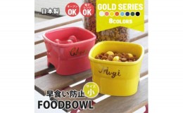 【ふるさと納税】美濃焼　陶器製ペット用フードボウル 名入れ ゴールド 早食い防止 高台 ＜小＞【1483552】