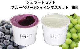 【ふるさと納税】[農家直送]ジェラートセット ブルーベリー＆シャインマスカット[持田農園]【1_2-044】