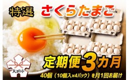 【ふるさと納税】特選　さくらたまご【定期便　3カ月】☆40個（10個入×4パック）を月1回お届け☆☆