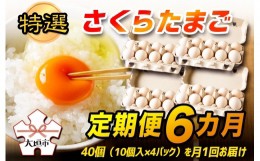 【ふるさと納税】特選　さくらたまご【定期便　6カ月】☆40個（10個入×4パック）を月1回お届け☆☆