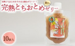 【ふるさと納税】完熟とちおとめ飲むゼリー 1箱10個入【芳賀一笑】| 苺 いちご ゼリー なし フルーツ 果物 ギフト 贈答