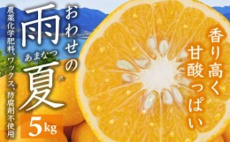 【ふるさと納税】期間限定 おわせの雨夏（あまなつ）  5kg　無農薬 ワックス・防腐剤不使用 木成り 完熟 甘夏  ギフト 贈答 日用 でも使