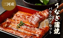 【ふるさと納税】うなぎ蒲焼バラエティセット（三河産）