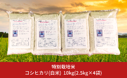 【ふるさと納税】特別栽培米コシヒカリ（白米）10kg（2.5kg×4袋） 令和5年産米 [佐藤農産有機センター]【018S050】