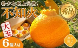 【ふるさと納税】不知火 希少な樹上完熟！ 秀品大玉 6個入 (約2kg)　【先行予約 2025年発送】【KT2】