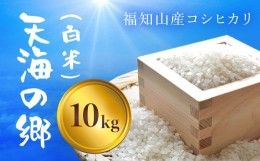 【ふるさと納税】福知山産コシヒカリ『天海の郷』天空に広がる天海の郷　10kg（白米） ふるさと納税  こめ コメ 米 コシヒカリ こしひか