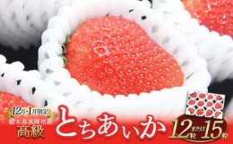 【ふるさと納税】【先行予約】鮮度抜群！朝採れ旬の高級とちあいか 12粒又は15粒 真岡市 栃木県 送料無料