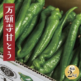 【ふるさと納税】甘い！美味い！辛くない！京のブランド産品「万願寺甘とう」 秀品 箱入り 2kg  【送料無料】【2024年発送分】 京野菜 伝