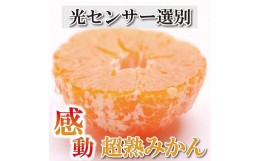 【ふるさと納税】＜2024年11月より発送＞家庭用 超熟有田みかん2kg+60g（傷み補償分）【わけあり・訳あり】【光センサー選果】