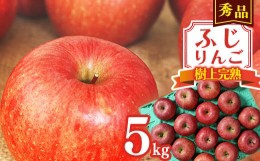 【ふるさと納税】《秀品》りんご 5kg「樹上完熟 ふじりんご」 山形県産 2024年産 令和6年産 【2024年12月頃より順次発送予定】　017-B-NG