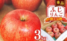 【ふるさと納税】《秀品》りんご 3kg「樹上完熟 ふじりんご」 山形県産 2024年産 令和6年産 【2024年12月頃より順次発送予定】　012-B-NG