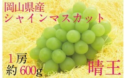 【ふるさと納税】HT08【先行予約】シャインマスカット晴王　1房【化粧箱入】　約600g