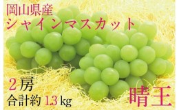 【ふるさと納税】HT10【先行予約】シャインマスカット晴王　2房【化粧箱入】　約1.3kg【シャインマスカット 果物 フルーツ 国産 人気 お