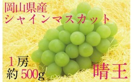 【ふるさと納税】HT11【先行予約】シャインマスカット晴王　1房【化粧箱入】　約500g