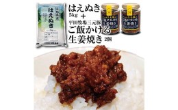 【ふるさと納税】令和5年産庄内米「はえぬき5kg」とご飯のお供「平田牧場三元豚 ご飯にかける生姜焼き2個」セット F2Y-3775