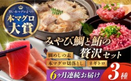 【ふるさと納税】【6回定期便】 マグロ みやび鮪（ まぐろ ） 切り落とし ・ 粗挽き ネギトロ 計600g ＋ 鯛めしの素 2袋 長崎市/坂田水産