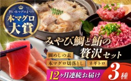 【ふるさと納税】【12回定期便】 マグロ みやび鮪（ まぐろ ） 切り落とし ・ 粗挽き ネギトロ 計600g ＋ 鯛めしの素 2袋 長崎市/坂田水