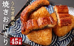 【ふるさと納税】うなぎ乗せ 焼きおにぎり 110g 計45個