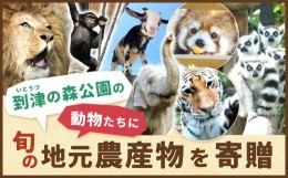 【ふるさと納税】到津の森公園の動物たちに地元農産物を寄贈【思いやり型返礼品】