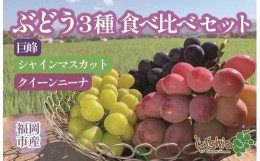 【ふるさと納税】【2024年8月以降順次発送】福岡市産ぶどう3色セット1300g（計3房）【北海道・沖縄・離島発送不可】