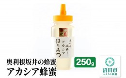 【ふるさと納税】奥利根坂井のアカシアはちみつ 250g×1本 坂井養蜂場