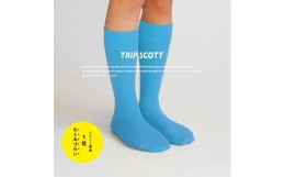 【ふるさと納税】足にやさしい旅の靴下TRIPSCOTT 水色 《22cm〜24cm》【おしゃれ シンプルで普段使いにも】スタイリッシュで丈夫なソック