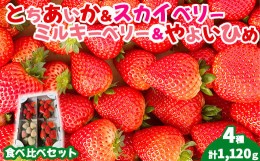 【ふるさと納税】【先行受付】4種のいちご食べ比べセット 約280g×4パック （とちあいか・スカイベリー・ミルキーベリー・やよいひめ） 