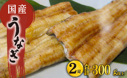 【ふるさと納税】国産 うなぎ 白焼き 2尾 150g以上 × 2本入 計300g 以上 冷凍 発送 ( 鰻 さんしょう 入り 本格 うなぎ 2匹 鰻 しらやき 