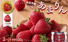 【ふるさと納税】＜先行予約＞あまりん（250g × 2パック）【2025年1月発送】 本庄市産 久米原農園 新品種 いちご イチゴ 苺 ストロベリ