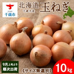 【ふるさと納税】玉ねぎ 10kg 無選別サイズ 北海道 千歳市産 甘い たまねぎ 野菜 冷蔵 タマネギ 【假屋フードブリッジ】