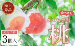 【ふるさと納税】桃 極上秀品 食べきりやすい３個入 【先行予約】【2024年6月中旬頃から発送】