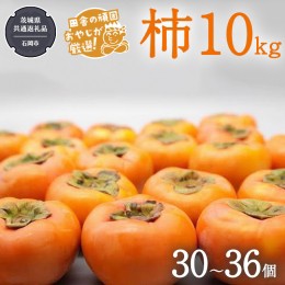 【ふるさと納税】柿 10kg（30〜36個）【令和6年10月より発送開始】（茨城県共通返礼品：石岡市産） 柿 かき カキ 果物 フルーツ 茨城県産