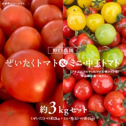 【ふるさと納税】野口農園 ！ ぜいたく トマト ＆ ミニトマト ＆ 中玉 セット （合計 約 3 kg ） トマト ミニトマト プチぷよ フルティカ