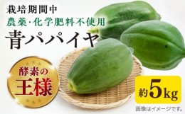 【ふるさと納税】糸島産 青パパイヤ 約5kg 糸島市 / 食と健康のブリッジベース 野菜 タイ料理 [ANN001]