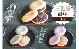 【ふるさと納税】三色菊最中１０個入り