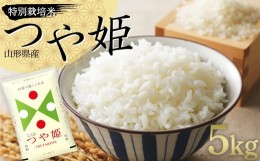 【ふるさと納税】令和5年度産 特別栽培米 つや姫 5kg 山形県産 F2Y-3826