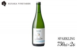 【ふるさと納税】KUSAKA VINEYARDS KOSHU SPARKLING 2022(白泡) 2本| 日本産 ワイン スパークリング 国産ワイン ギフト プレゼント 贈答