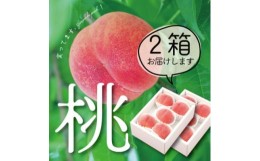 【ふるさと納税】山梨直送!完熟桃5〜7玉  約1.5kg×2箱 約3kg ギフト化粧箱入り【1485555】