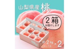 【ふるさと納税】山梨直送!完熟桃5〜7玉 約2kg×2箱 約4kg ギフト化粧箱入り【1485563】