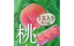 【ふるさと納税】山梨直送!完熟桃3玉入り  ギフト化粧箱入り お試しにちょうどいいサイズ【1485567】