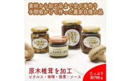 【ふるさと納税】椎茸加工品セット（加工品４種セット）【 家庭用 自宅用 贈答品 贈答用 ギフト お取り寄せ お中元 お歳暮 贈り物 お祝い