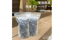 【ふるさと納税】＜愛知県産＞＜ジャムレシピ付き＞冷凍ブルーベリー700g(350g×2)【1456752】