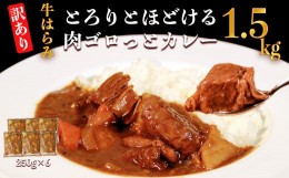 【ふるさと納税】【訳あり】具だくさん やわらか牛ハラミカレー 約250g×6パック 計 約1.5kg