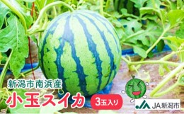 【ふるさと納税】新潟市南浜産　小玉スイカ　3玉入