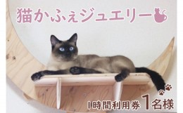 【ふるさと納税】鹿嶋市の癒しの空間　猫カフェでまったり　猫かふぇジュエリー　１時間利用券セット　１名様 （KCS-1）