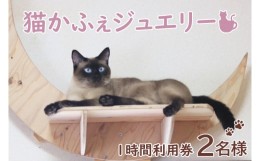 【ふるさと納税】鹿嶋市の癒しの空間　猫カフェでまったり　猫かふぇジュエリー　１時間利用券セット　２名様 （KCS-2）