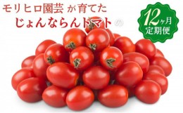 【ふるさと納税】モリヒロ園芸が育てたじょんならんトマトの12ヶ月定期便